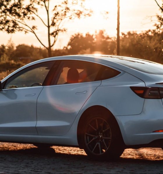 tesla safety score