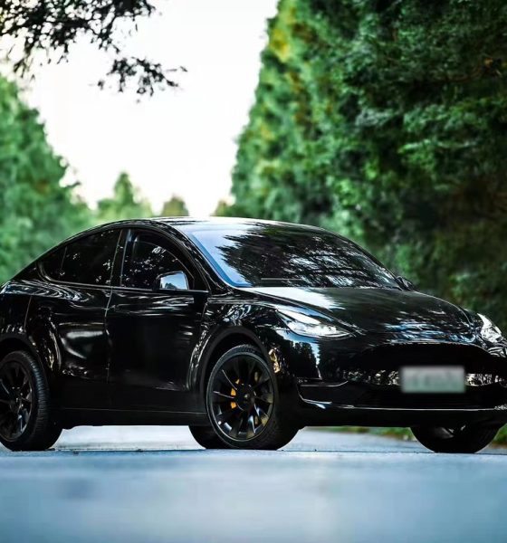 tesla china model y