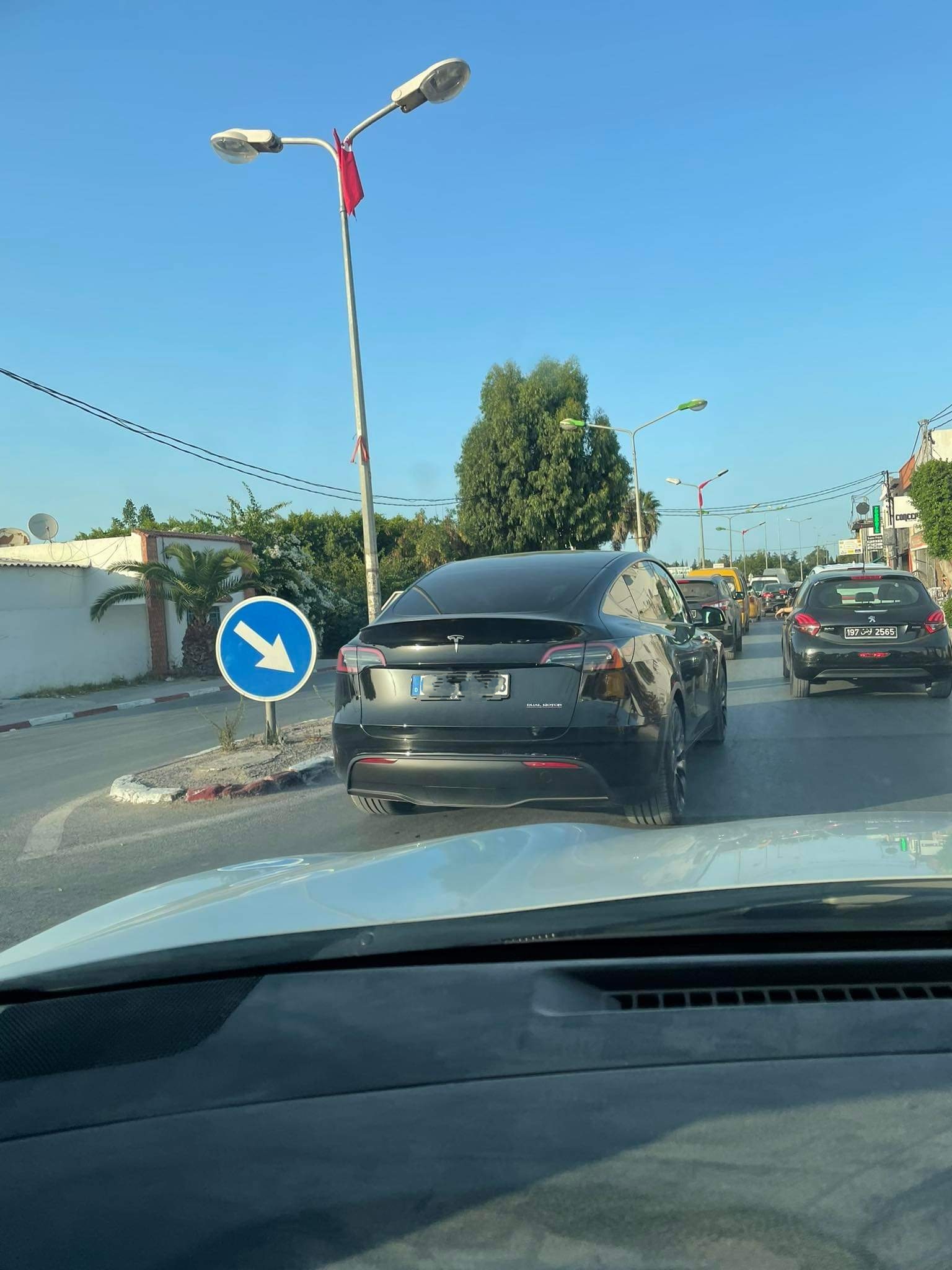 First Tesla Model Y Performance Spotted In Africa-1