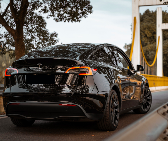 Tesla China had the highest monthly sales in June 2022