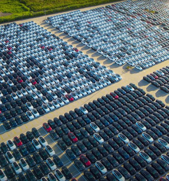 tesla vehicles in giga shanghai outbound lot