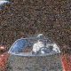 tesla-mosaic-spacex-flight