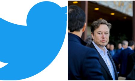 twitter elon musk trial