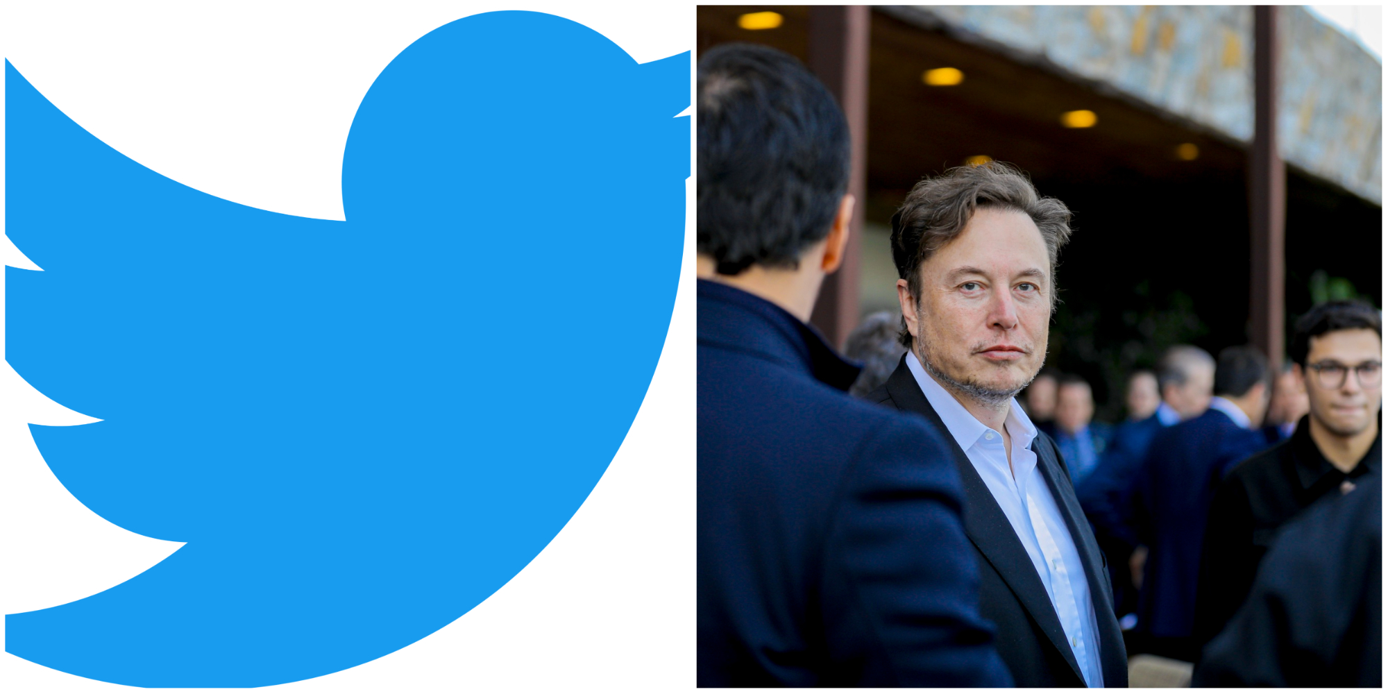 twitter elon musk trial