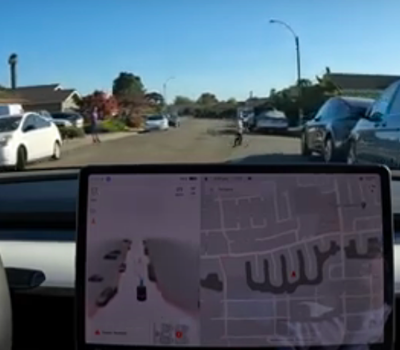 Tesla FSD Beta actually does stop for kids