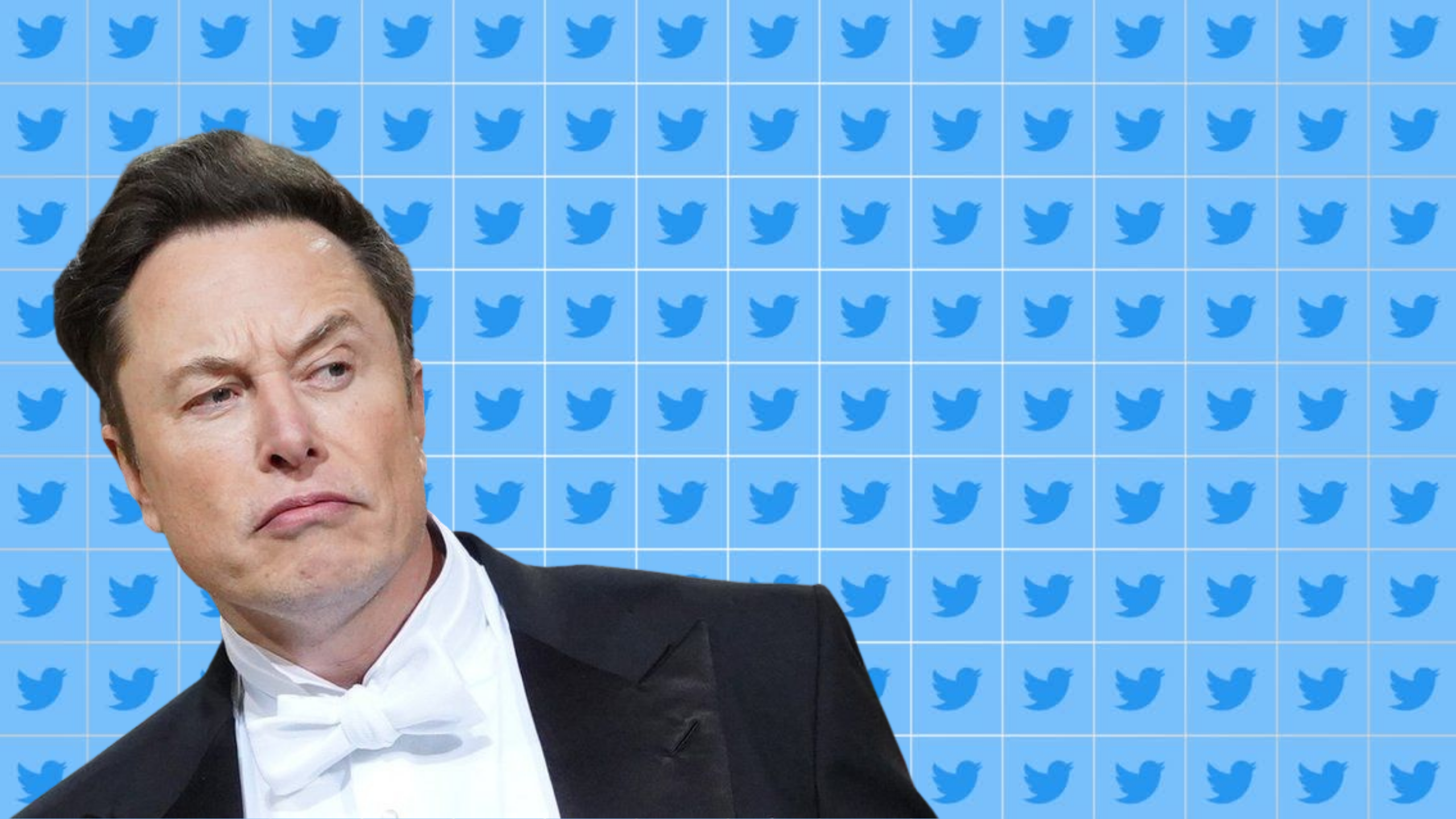 Twitter ordered by judge to turn over data from 9,000 accounts to Elon Musk