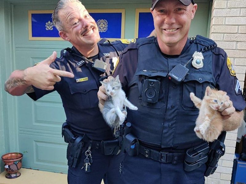 Elon and Tessie