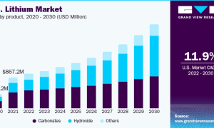 Demand for EVs will accelerate growth of lithium market: report