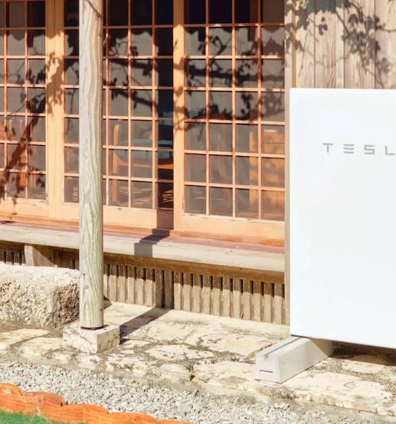 powerwall-vpp-japan