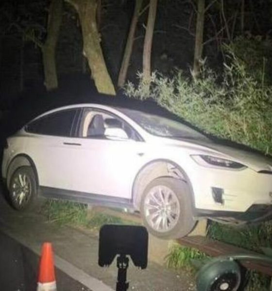 tesla-china-false-ap-accident