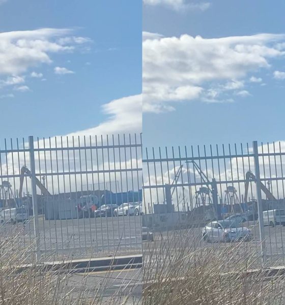 tesla-model-y-2023-deliveries-new-zealand