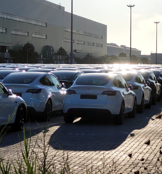 tesla-model-y-exports