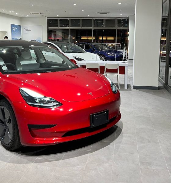 Drunk man fined for punching a Tesla in Australia