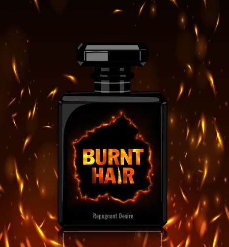 Elon Musks new Burnt Hair perfume sells over 10000 bottles in hours