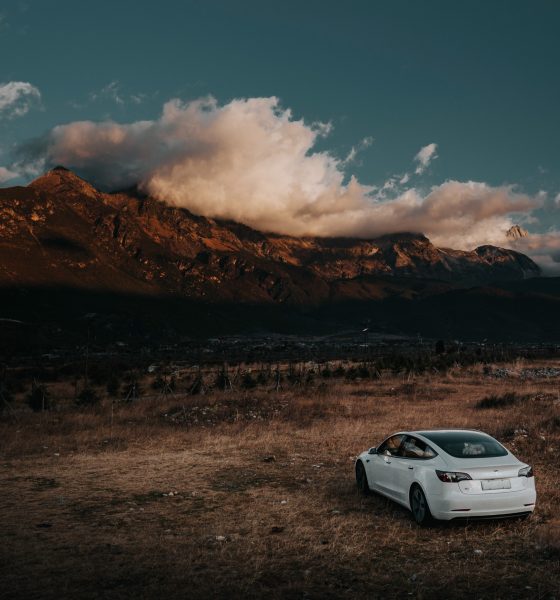 tesla-china-gigafactory-shanghai-august-77000-sales