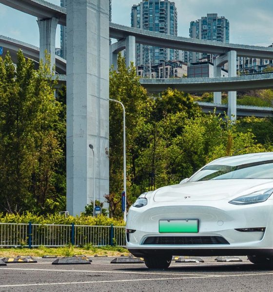 tesla-china-model-3-1
