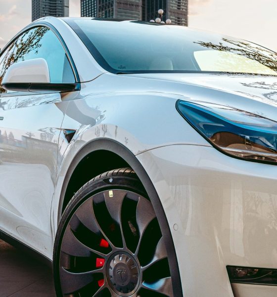 tesla-china-model-3-2