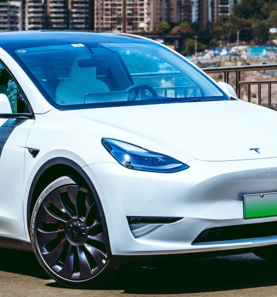 tesla-china-model-3