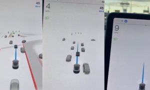 tesla-fsd-visualizations-bug