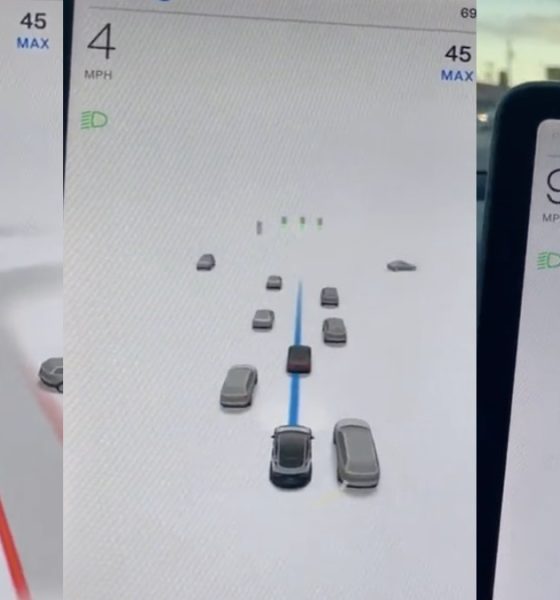 tesla-fsd-visualizations-bug