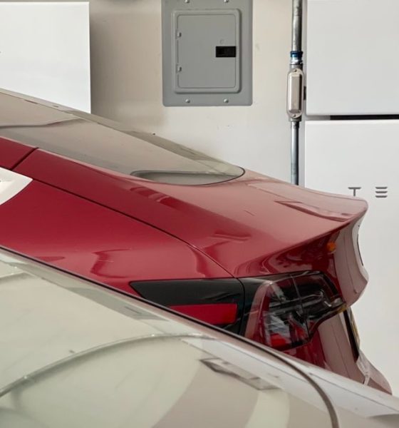 tesla powerwall vpp