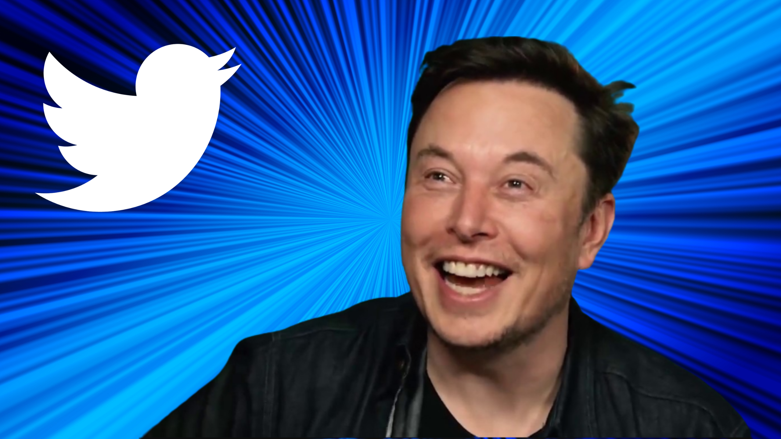Musk Announces Twitter To Unveil New Payment System For Content Creators