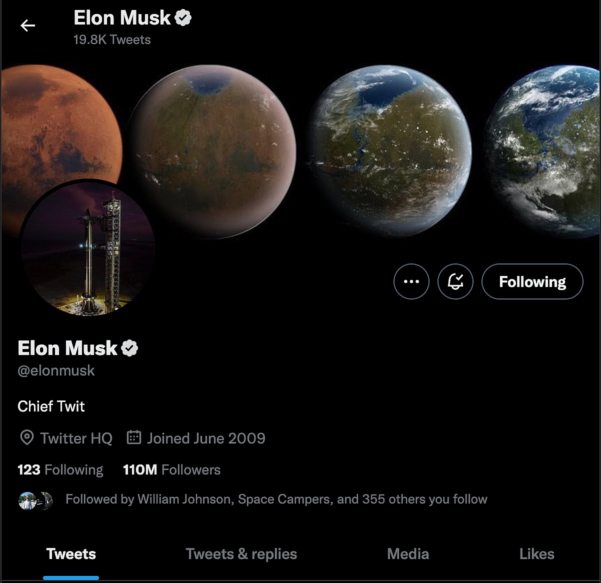 elon musk chief twit