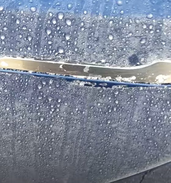 tesla frozen door handle