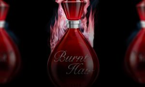 the-boring-company-burnt-hair-scalpers-price-ebay