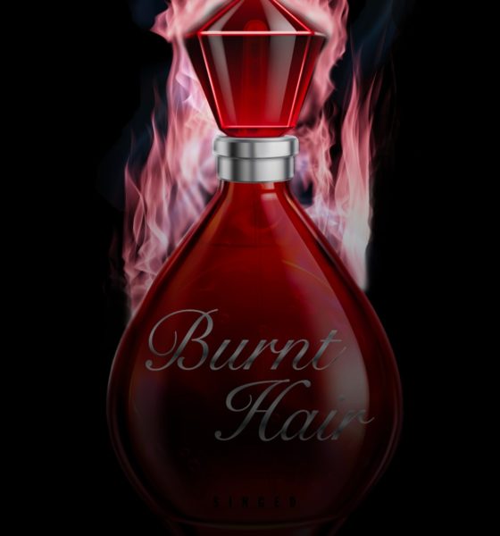 the-boring-company-burnt-hair-scalpers-price-ebay