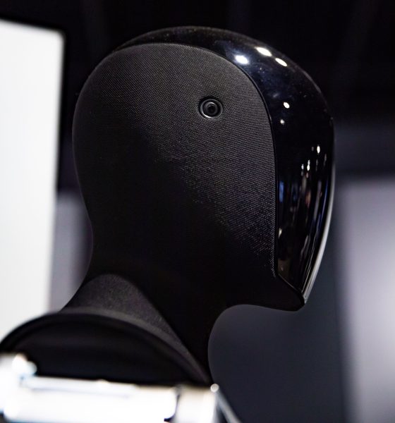 Tesla-Bot-Optimus-Humanoid-Robot-Profile