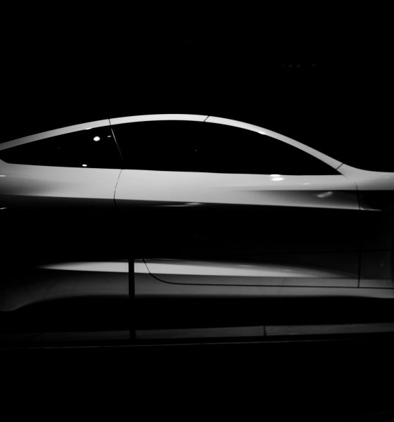 Tesla-profile-Roadster-2-2