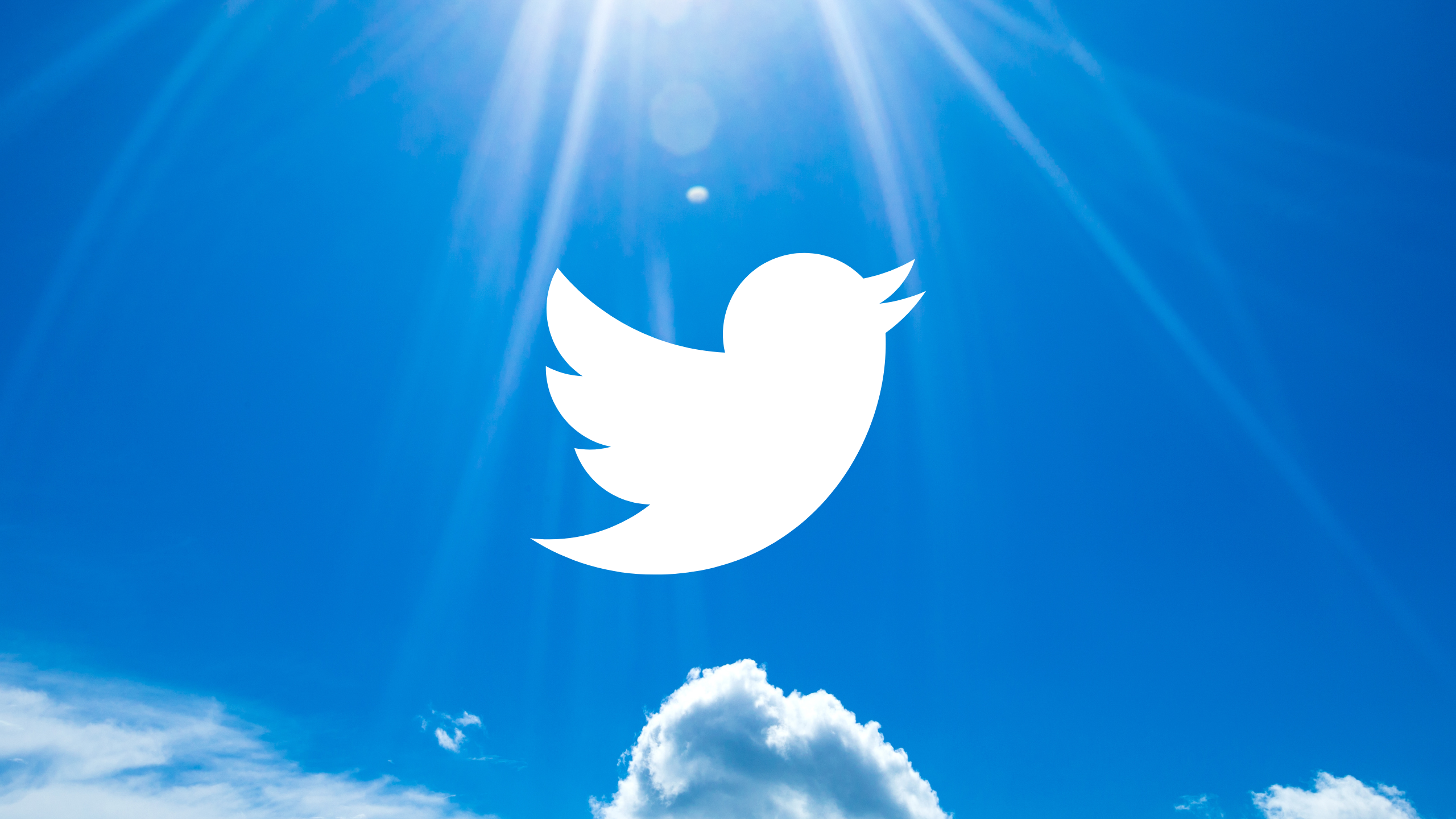 Twitter 2.0 promises transparency & safety