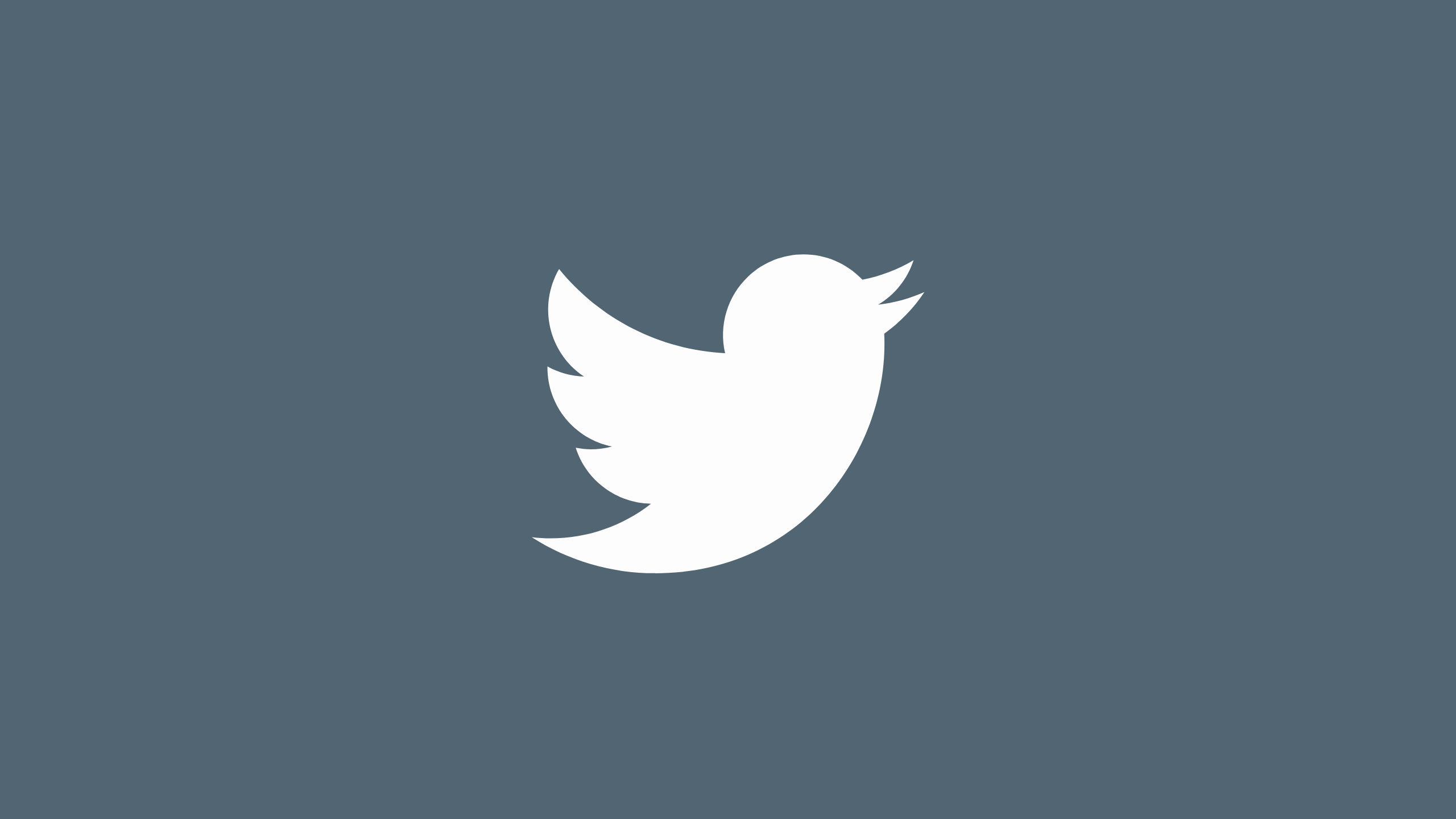 Twitter launches a new Twitter Beta testing app