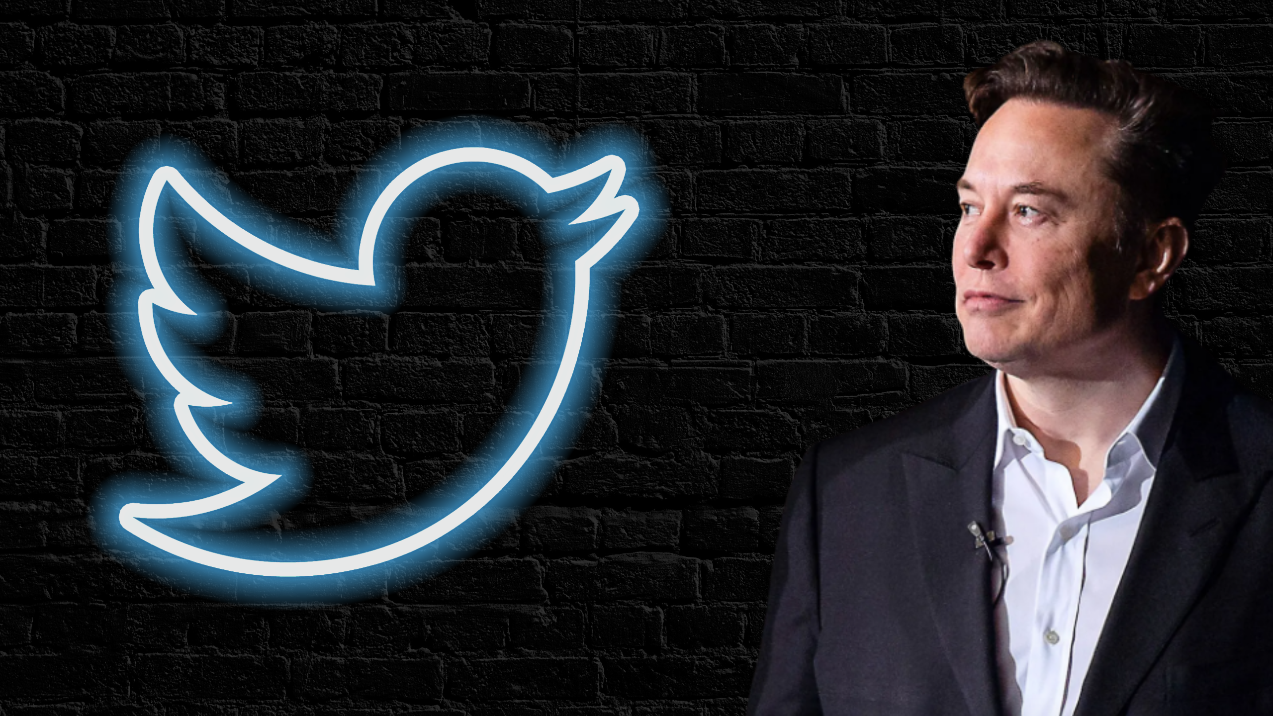 Which is worse for Twitter advertisers- child sexual exploitation or Elon Musk?