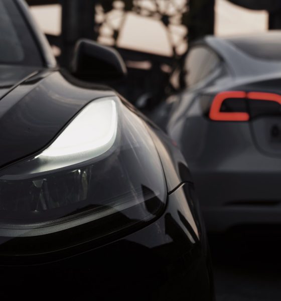 tesla-china-1