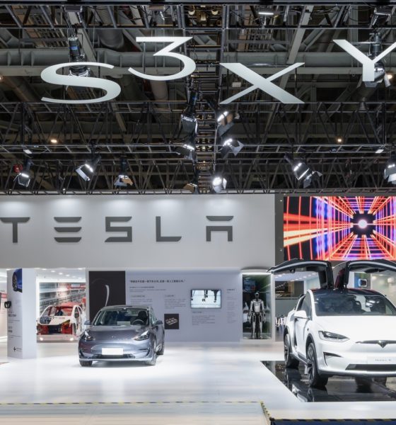 tesla-china-ciie