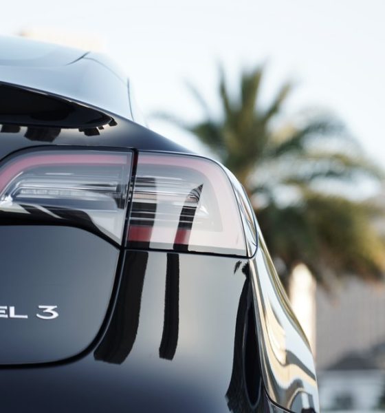 tesla china