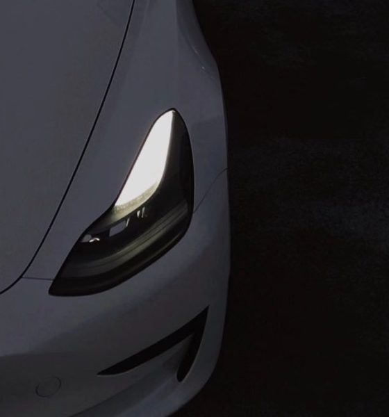 tesla-model-3-pair