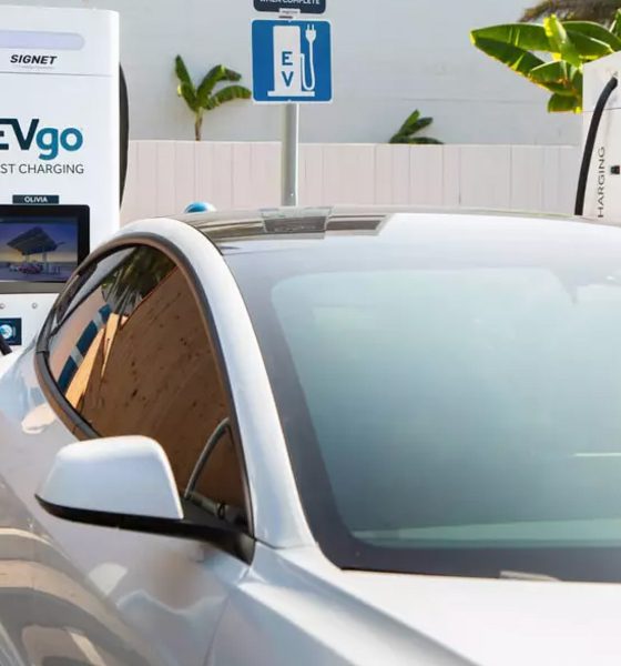 tesla plus promo