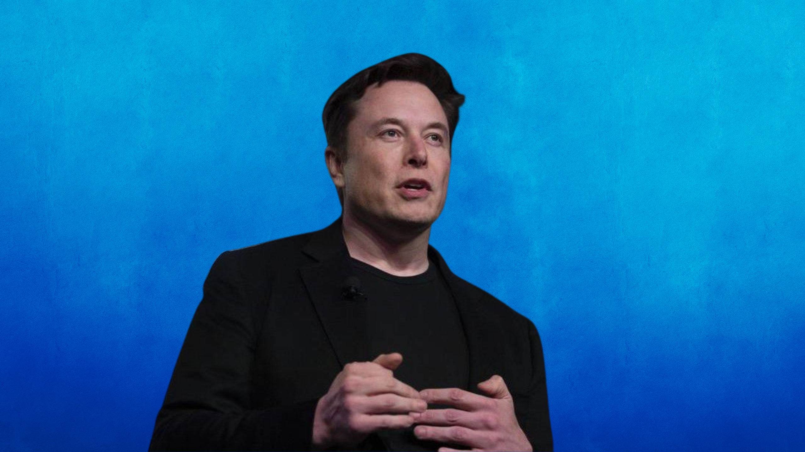 Elon Musk responds to reports of his search for a new Twitter CEO