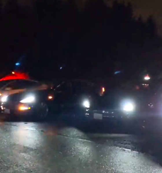 Tesla owners flex coordinate light shows for the holidays
