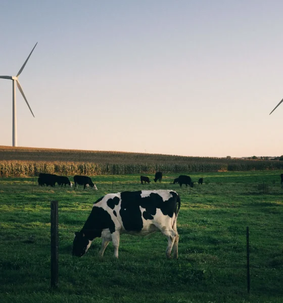 Wind Power