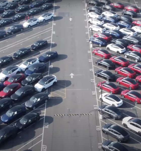 tesla fremont