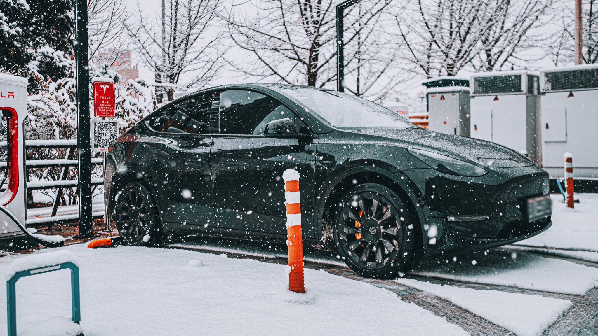 Tesla Model Y Becomes World's 3rd Best-Selling Car Challenging