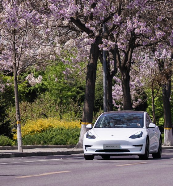 tesla-asia-model-3