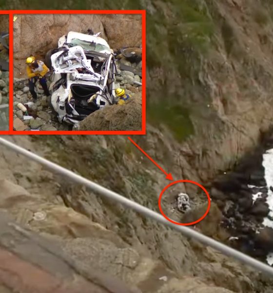 tesla-falls-off-cliff