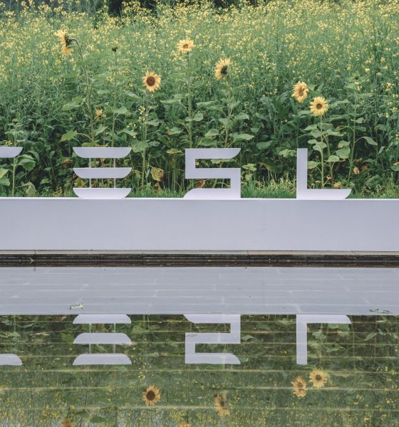 tesla logo