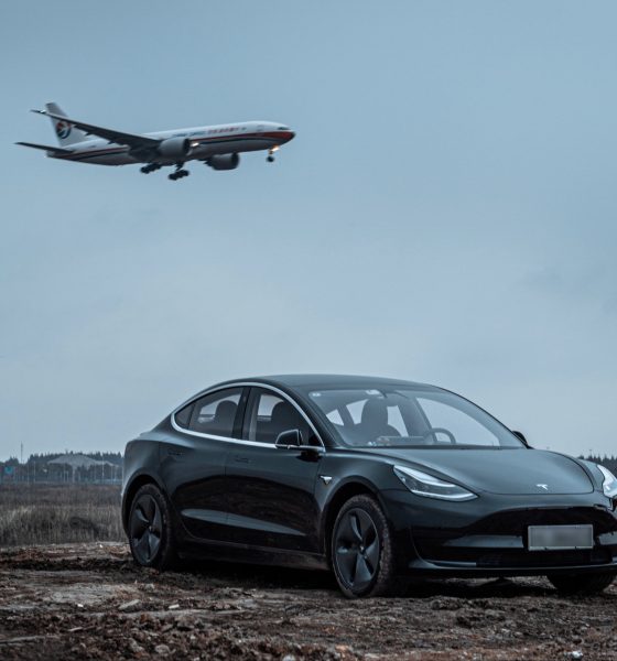 tesla model 3 china