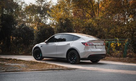 tesla model y in the fall